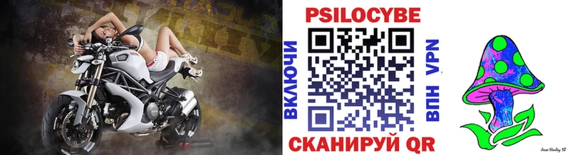 Псилоцибиновые грибы мицелий  Каменногорск 