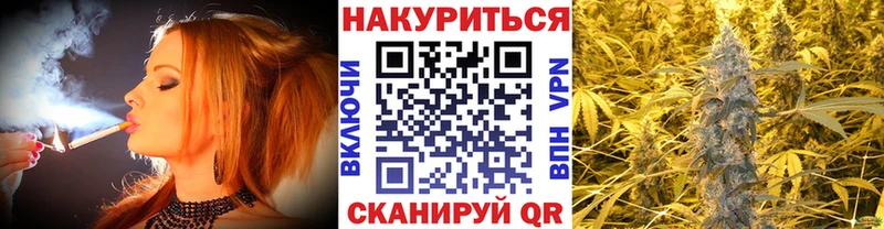 mega зеркало Каменногорск Бошки марихуана Amnesia